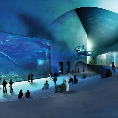 Collection King S Garden