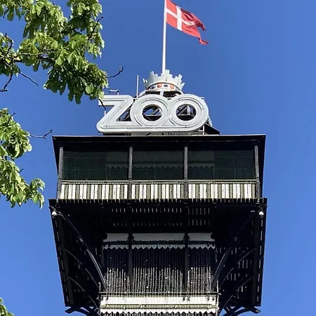 Collection King S Garden