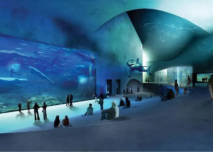 Collection King S Garden