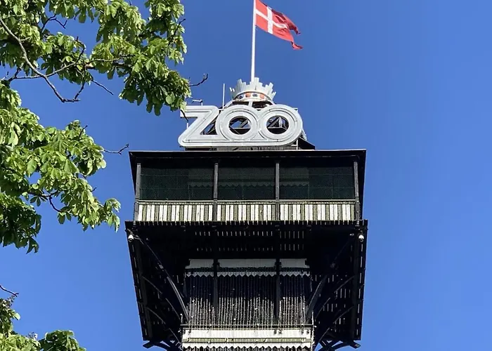 Collection King S Garden