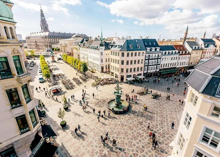 Collection King S Garden Daire *